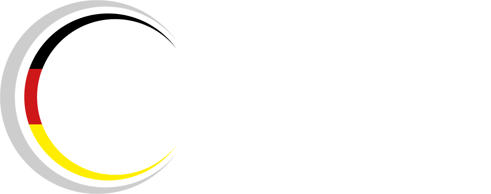 IfDQ_Logo_länglich_dunklerBG