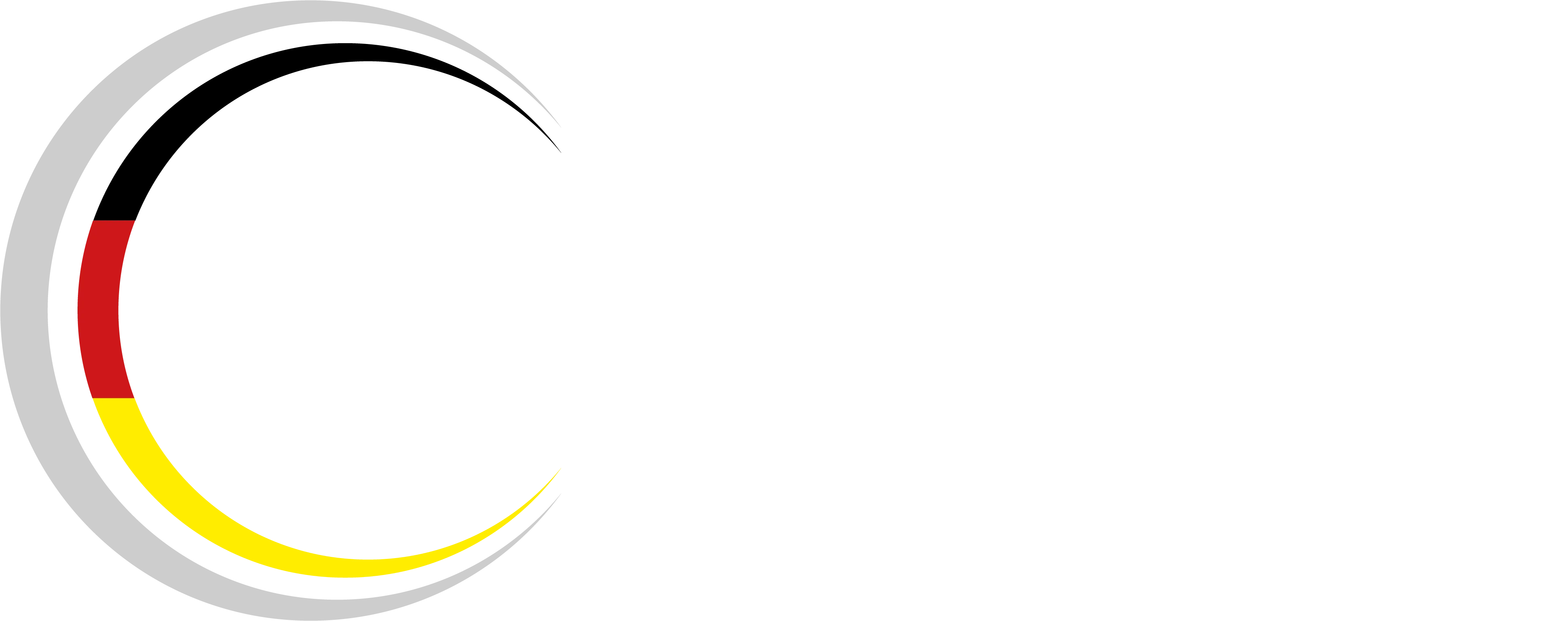 IfDQ_Logo_länglich_dunklerBG